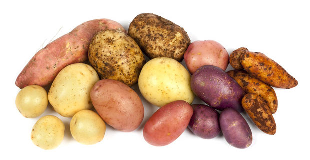 Patate da seme: Produttori sementi Val Pusteria